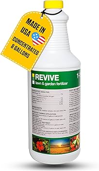 71+elb1TGSL._AC_UF350,